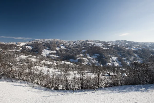 Winter landscape — Stock Photo, Image