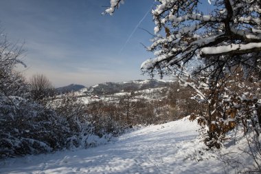 Kış Dağı Manzarası