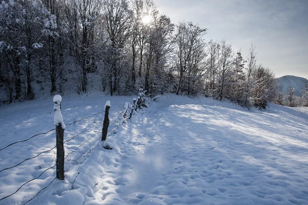 Winterlandschap — Stockfoto