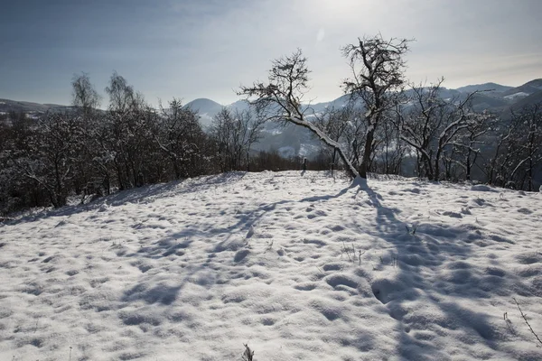 겨울 산의 풍경 — 스톡 사진