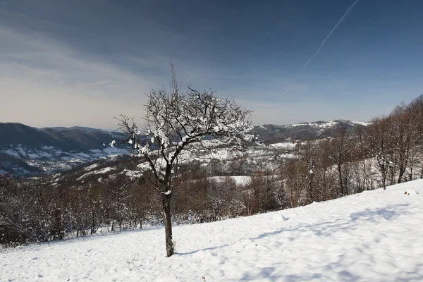 Vinterbergslandskap — Stockfoto