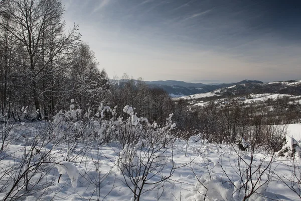 Inverno Montanha Paisagem — Fotografia de Stock