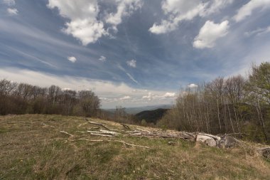 Ormanların tahrip edilmesi