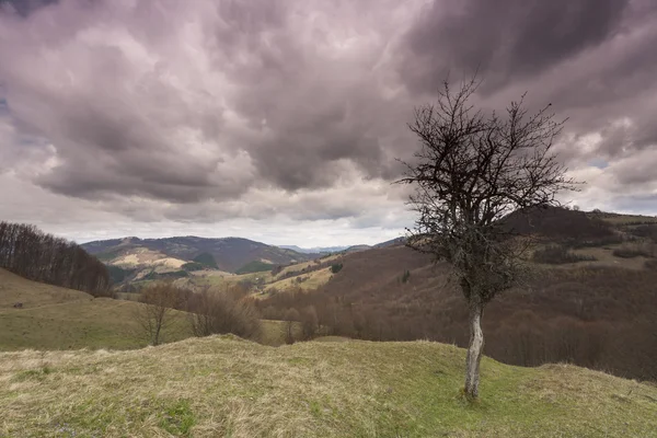 Dramatik peyzaj — Stok fotoğraf