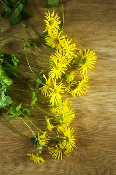 Yellow flowers — Stock Photo, Image