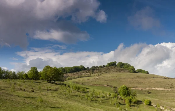 Primavera — Fotografia de Stock