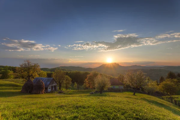 Zvířecí dům — Stock fotografie