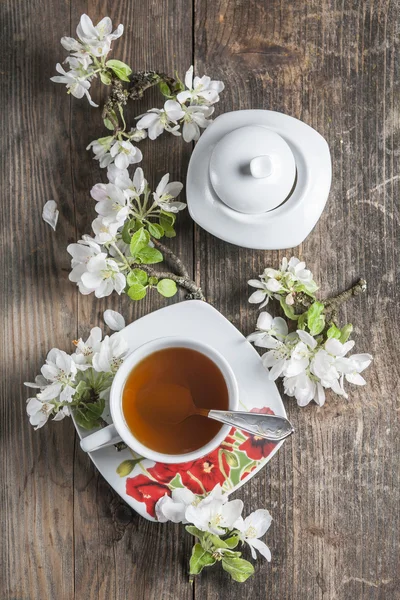 Grüner Tee — Stockfoto