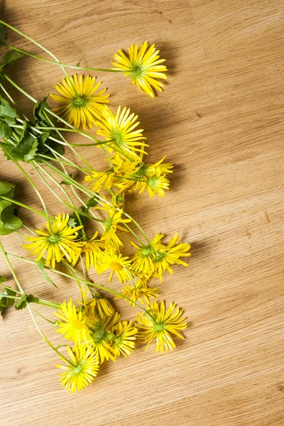 Yellow flowers — Stock Photo, Image