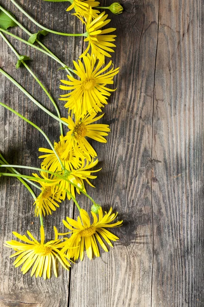 Yellow flowers — Stock Photo, Image