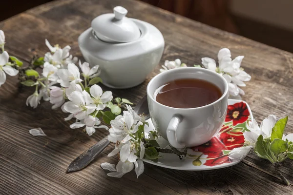 Green tea — Stock Photo, Image