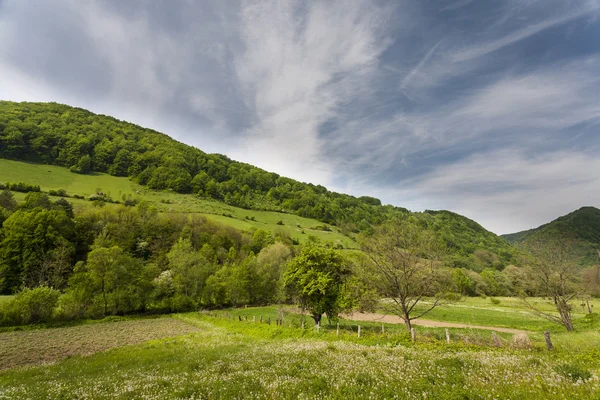 Landskap — Stockfoto