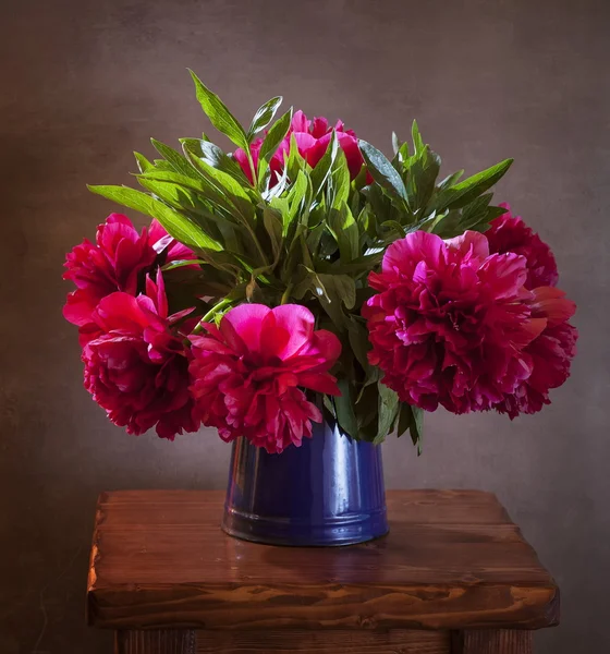 Peonies — Stock Photo, Image