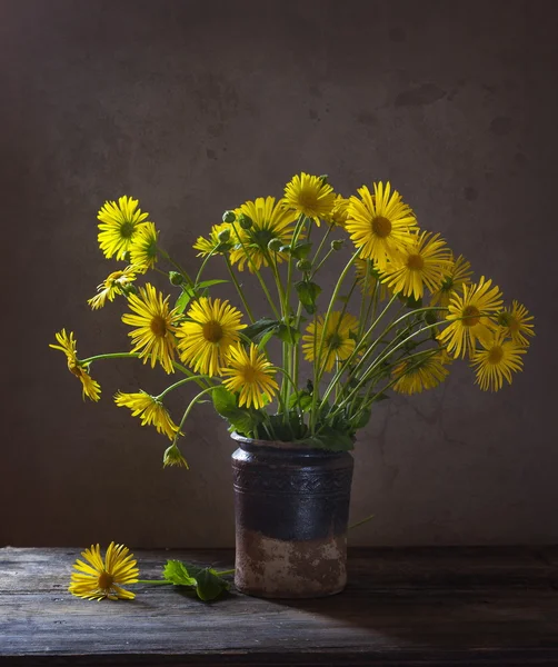 Wildflowers — Stock Photo, Image