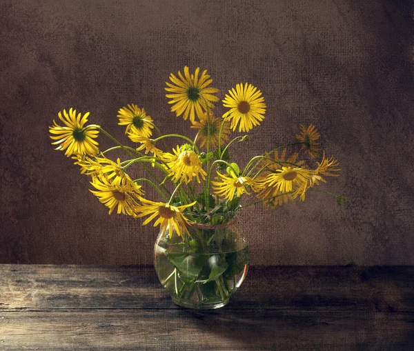 Wildflowers — Stock Photo, Image