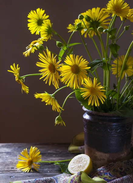 Fiori di campo — Foto Stock