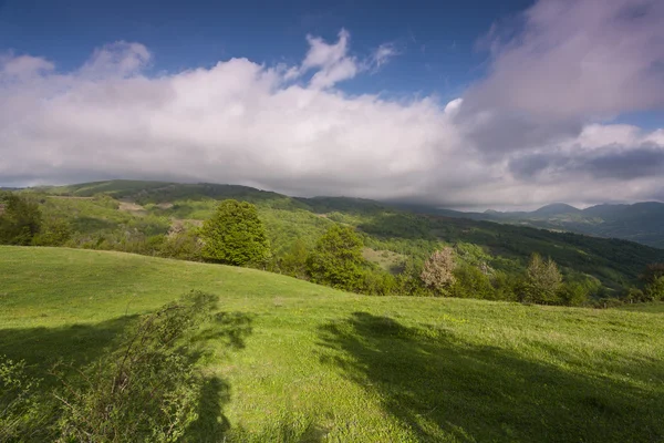 Springtime — Stock Photo, Image