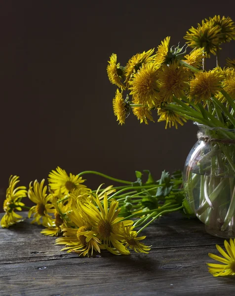 Wildflowers — Stock Photo, Image