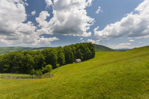 Paesaggio montano — Foto Stock