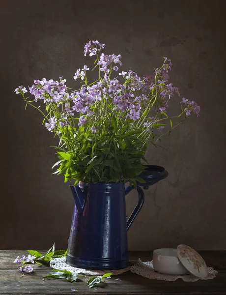 Fiori di campo — Foto Stock