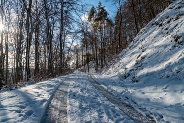Kış macerası, ağaçlarla çevrili karlı kır yolunda manzaralı bir kış yolculuğu.