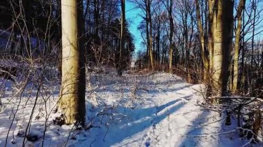 Karlı orman patikaları, parlak kış manzaraları karla kaplı orman patikaları ve kayalıklar.