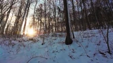 Karlı orman patikaları, parlak kış manzaraları karla kaplı orman patikaları ve kayalıklar.
