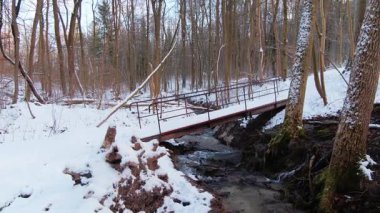 Kış ormanı deresi, sakin kış manzarası karla kaplı orman deresi ve görsel hikaye anlatmak için buzlu çevreler.