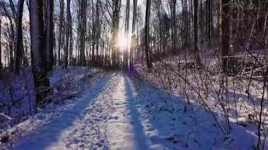 Karlı orman patikaları, parlak kış manzaraları karla kaplı orman patikaları ve kayalıklar.