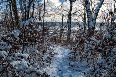 Açık gökyüzünün altında karla kaplı patika, güneşli ve ayak izli karlı ormanlık yol.