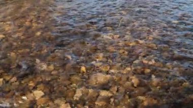 Taş kayaların arasından akan temiz akarsu taştan dipte akan bereketli nehirler. Yaz günü su sıçrayan vahşi dağ nehri. Su altı kabarcıkları. 4K.