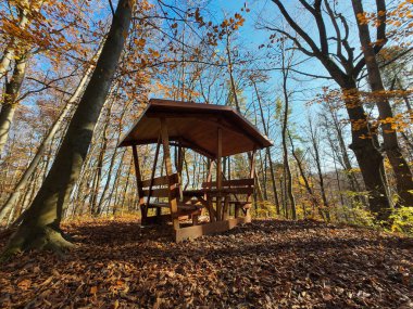 Sonbahar ormanındaki boş ahşap çardak, kıtır kıtır düşen yapraklar ve yükselen meşe ağaçları, güneş ışığı...