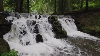 Taştan köprüsü ve gür orman zeminiyle şelale, köprünün ve nehir kıyısının üzerinde toplanırken, su taşkın havuzuna taşarken, Evergreens ve yoğun sis bulutları arasında yükseliyor.