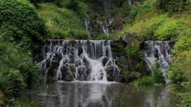 Yosunlu Taş Kemeri 'ne yakın şelale, canlı sarı çiçekler ve gür yeşillik, güçlü püskürtüler kamera boyunca sürükleniyor, desenli taş ve eğreltiotu ön planda.