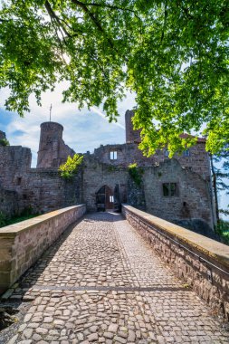 Nefes kesici bir manzara büyüleyici bir kale harabesi, güzel bir şekilde canlı doğa ve yemyeşil ile çevrili. Burg Hanstein Kalesi harabeleri, Thüringen 'deki tarihi Hanstein Şatosu..