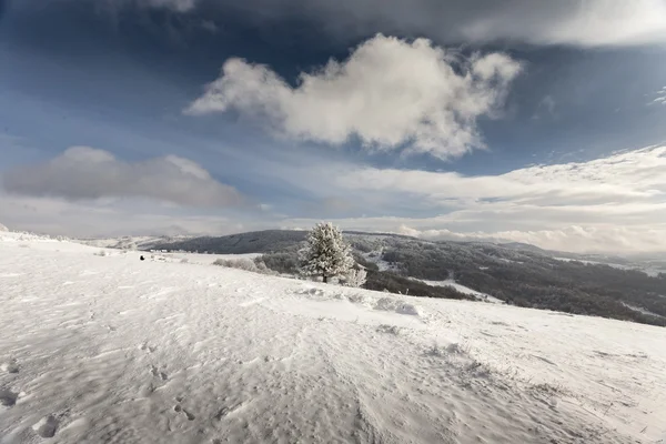 Hiver en montagne — Photo