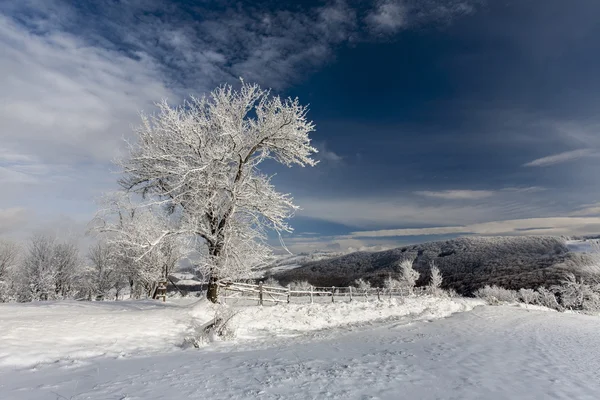 Invierno en montañas —  Fotos de Stock