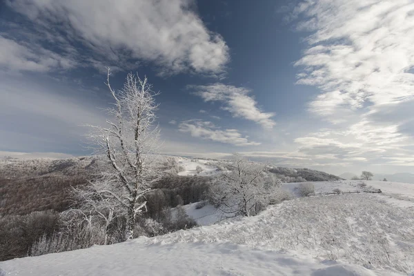 Hiver en montagne — Photo