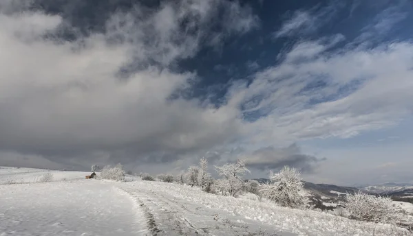 Зима в горах — стоковое фото