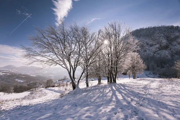 Inverno in montagna — Foto Stock