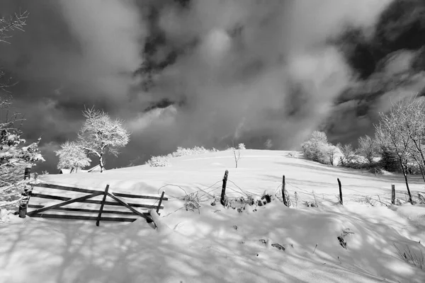 Winter in Bergen — Stockfoto