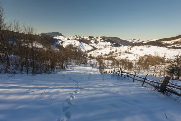 Inverno in montagna — Foto Stock