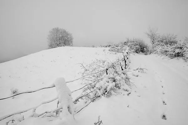 Carpatians 겨울 시간 — 스톡 사진