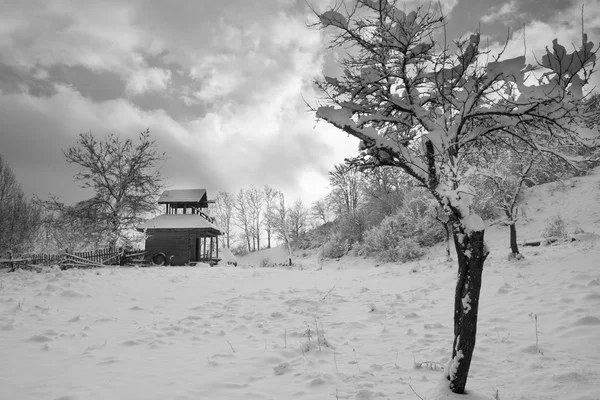 喀尔巴阡冬天时间 — 图库照片