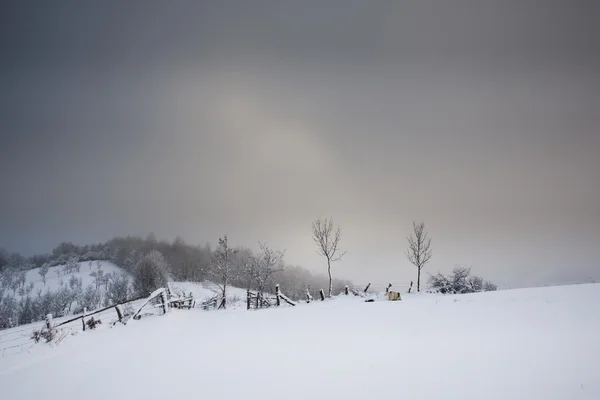 Carpatians 冬時間 — ストック写真