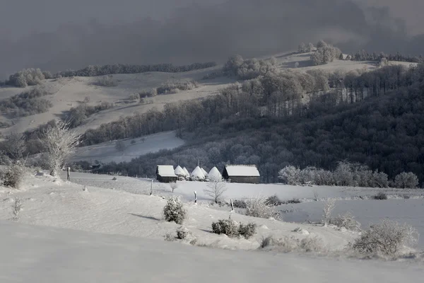 Carpatianos hora de inverno — Fotografia de Stock