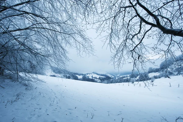 Carpatians winter time — Stock Photo, Image