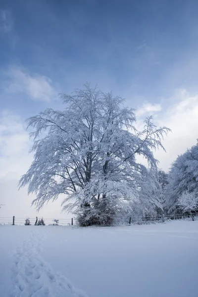 Turgaistraat wintertijd — Stockfoto