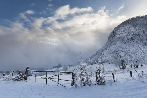 Carpatians winter time — Stock Photo, Image