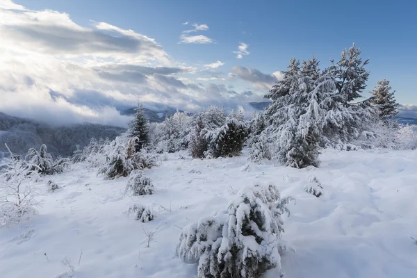 Carpatiens heure d'hiver — Photo